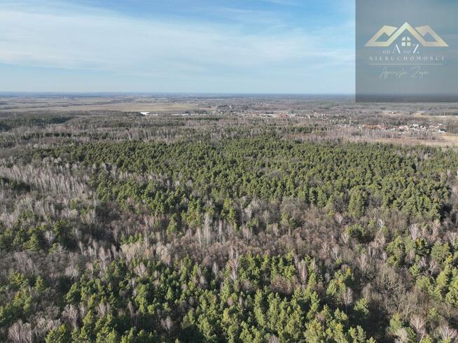 Działka leśna Perła gm. Dębno