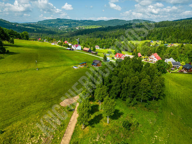 Malownicze działki w Lachowicach przy lesie
