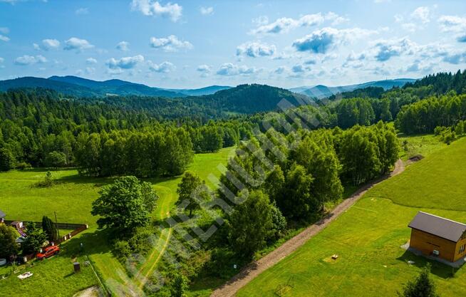 Malownicze działki w Lachowicach przy lesie