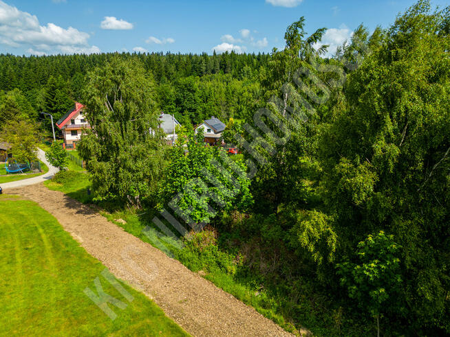 Malownicze działki w Lachowicach przy lesie