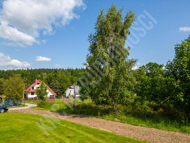 Malownicze działki w Lachowicach przy lesie