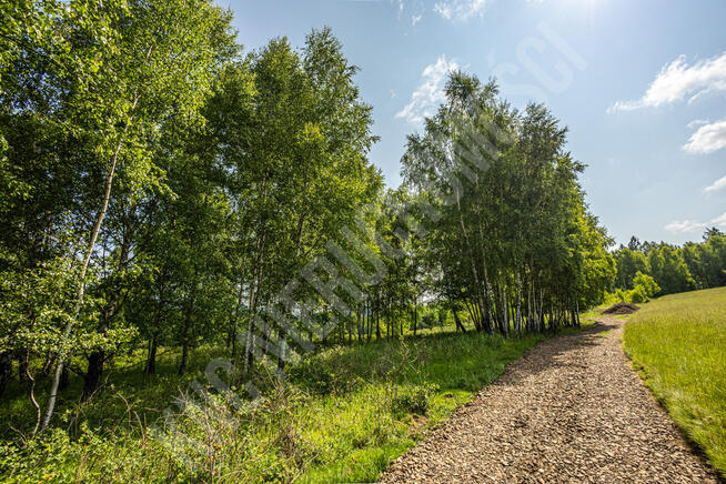 Malownicze działki w Lachowicach przy lesie