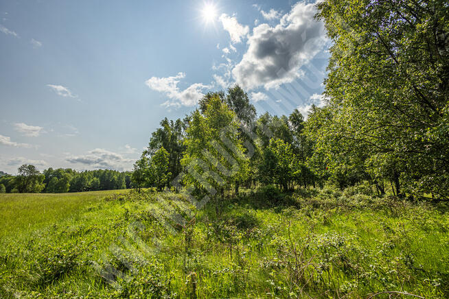 Malownicze działki w Lachowicach przy lesie