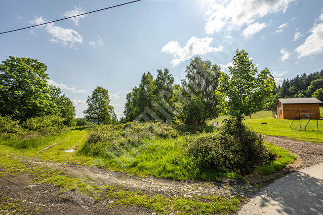 Malownicze działki w Lachowicach przy lesie