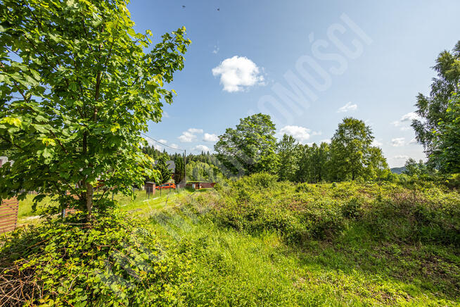 Malownicze działki w Lachowicach przy lesie