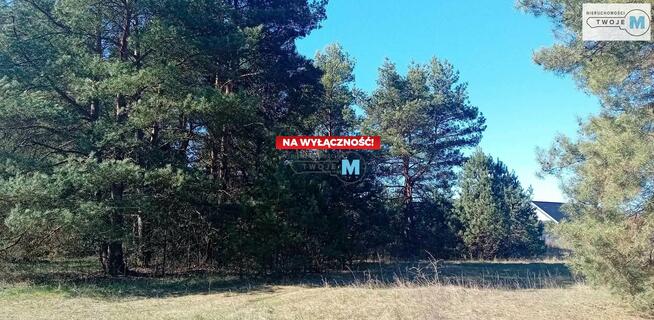 Działka leśna Morawica Morawica