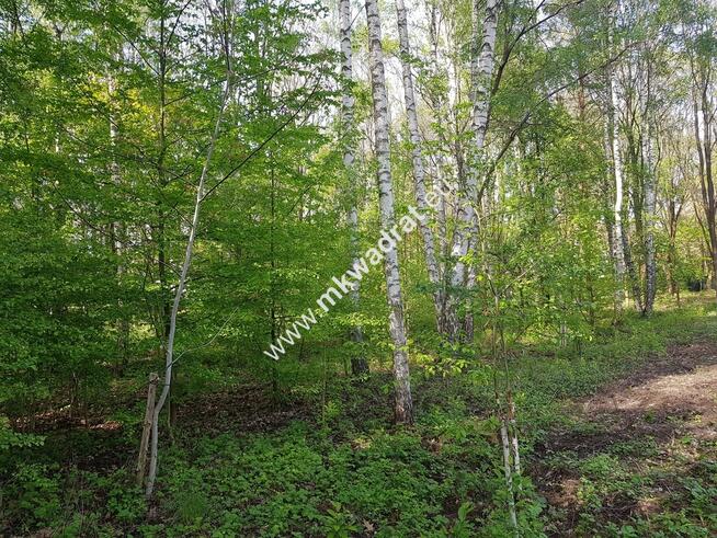Okazja ! Działka budowlana 3218 m2 Radonie z MPZP