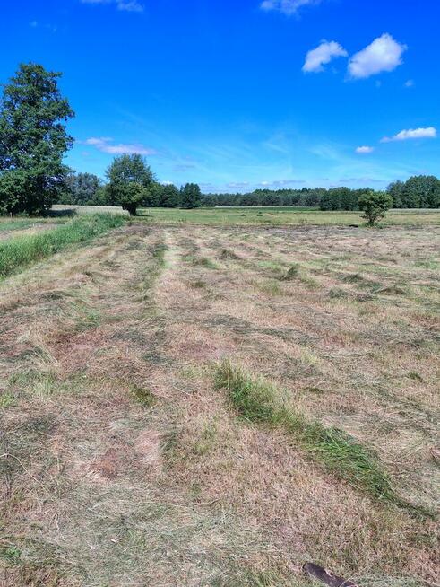 Ostatnie działki w Osieku n/ Wisłą