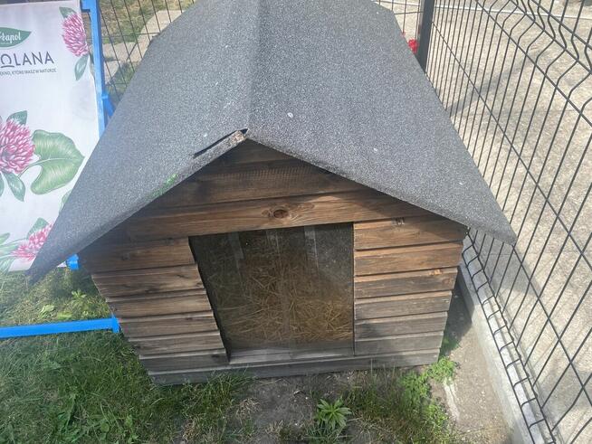 Mam do sprzedaży dwie budy dla dużych pupli