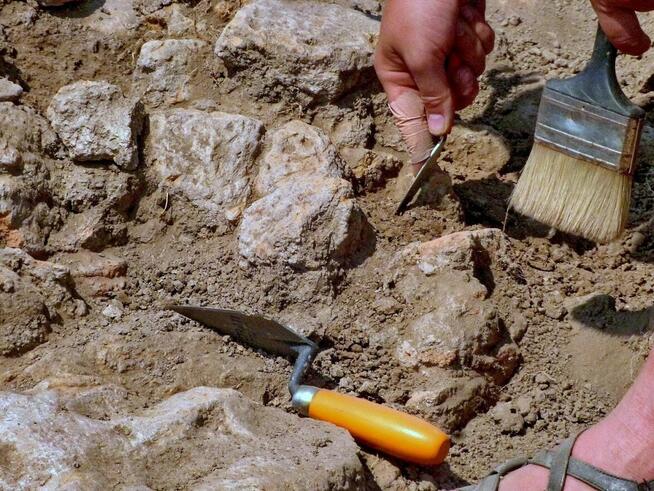 Całościowe usługi archeologiczne - ArcheOptics