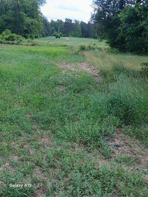 Siedlisko wraz z gospodarstwem rolnym