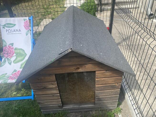 Mam do sprzedaży dwie budy dla dużych pupli