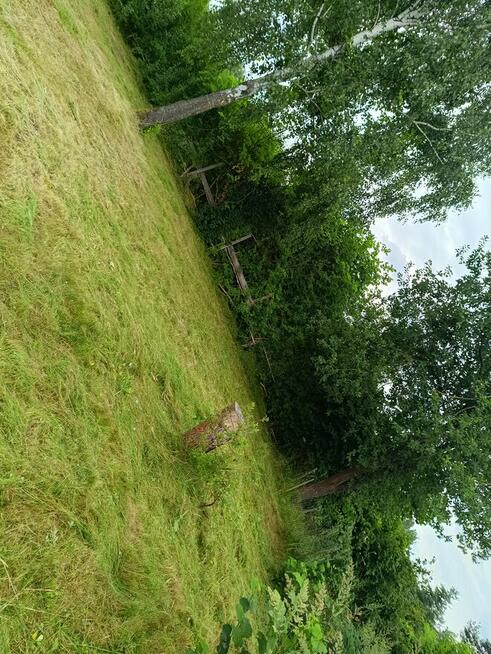 Działka Rod Hortensja Kielce