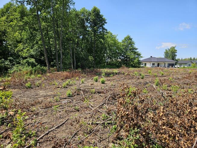 Działka na sprzedaż- 14,21a- Pustynia/ Dębica