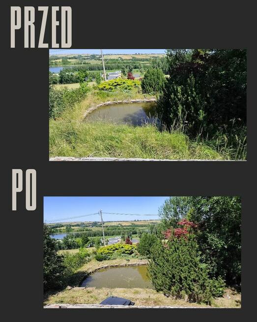 Usługi ogrodnicze koszenie aeracja Wertykulacja