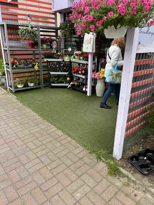 Sprzedam działającą kwiaciarnię