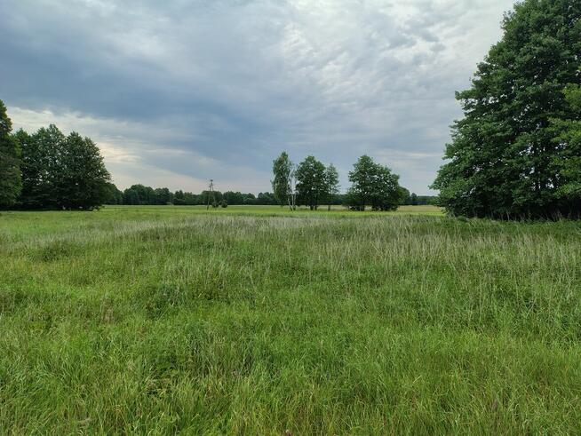 Ostatnie działki w Osieku n/ Wisłą