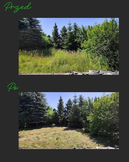 Usługi ogrodnicze koszenie aeracja Wertykulacja