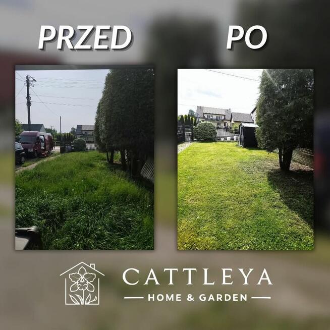 Usługi ogrodnicze koszenie aeracja Wertykulacja