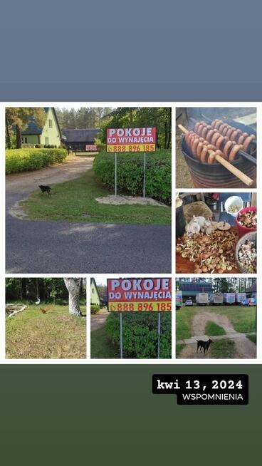 Pokoje do wynajęcia