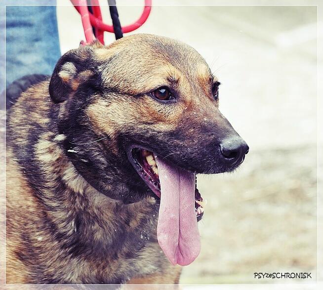 Mara - wspaniała dama marzy o spokojnym, ciepłym domu