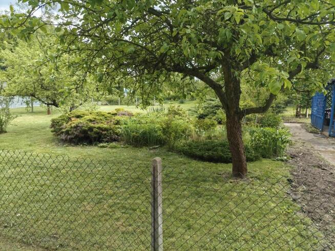 Sprzedam działkę rekreacyjną w Moszczenicy