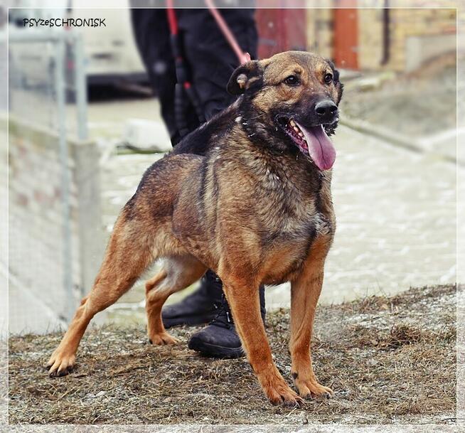 Mara - wspaniała dama marzy o spokojnym, ciepłym domu