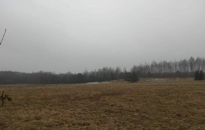 Działka siedliskowa z warunkami zabudowy . Leśna Okolica