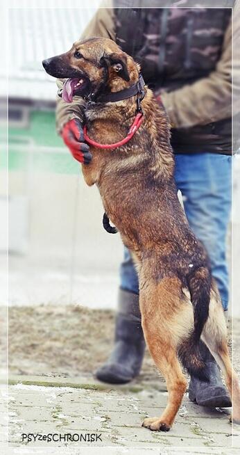 Mara - wspaniała dama marzy o spokojnym, ciepłym domu