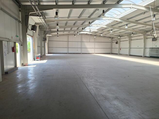 Wynajmę lub sprzedam halę i sklep