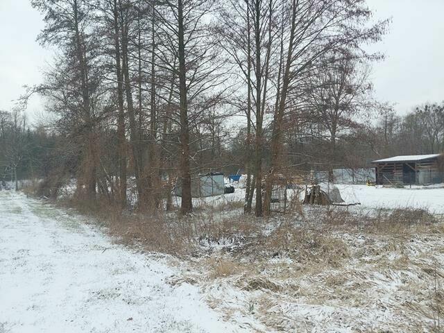 Działka budowlana Korytów gm. Radziejowice