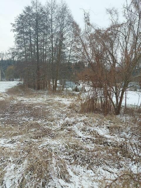 Działka budowlana Korytów gm. Radziejowice