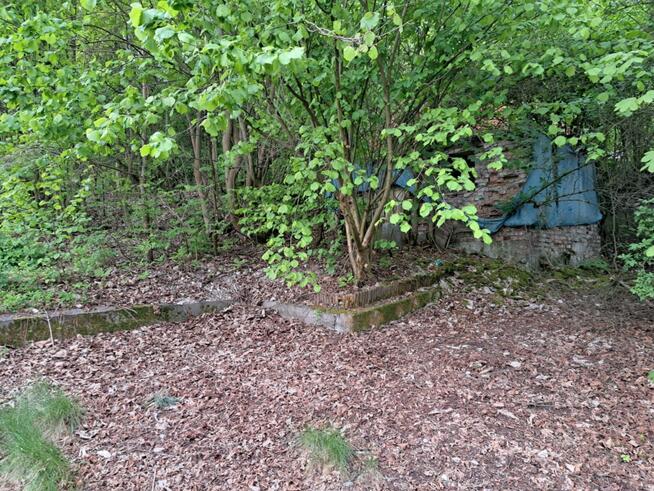 Dom Iwanowice Włościańskie gm. Iwanowice