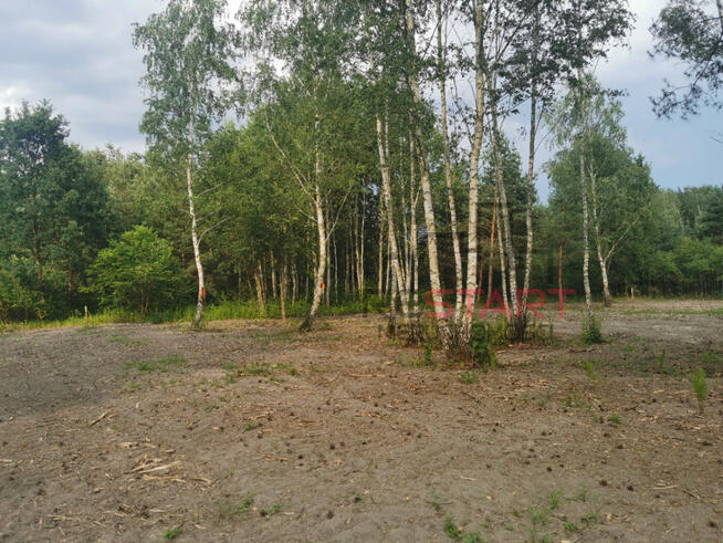 Działka budowlana Szczęsne gm. Grodzisk Mazowiecki,