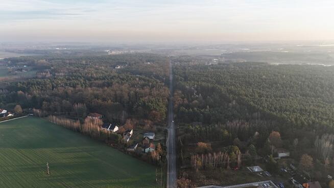 Las na sprzedaż - Koźlątków, gm. Lisków
