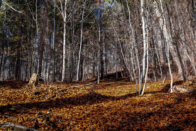 Widokowa działka w Szczyrku–Twoje miejsce!
