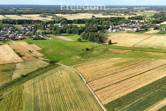 3,14 ha w jednym kawałku w Olszycu Szlacheckim