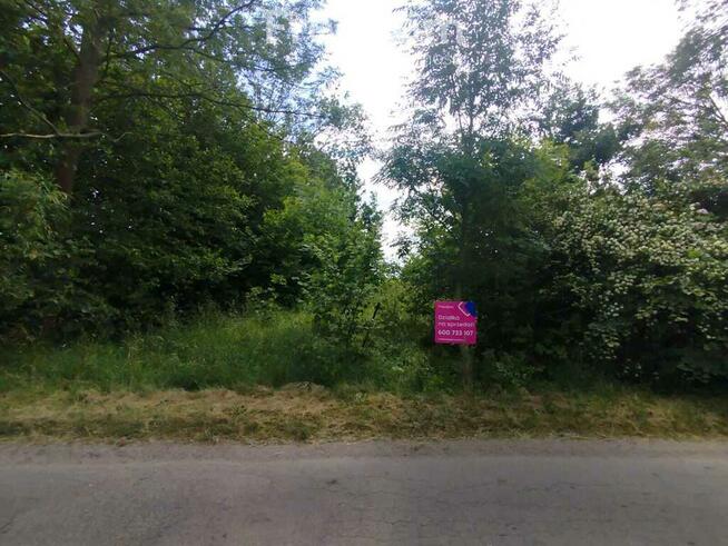 Żarnówka - działka budowlana na sprzedaż