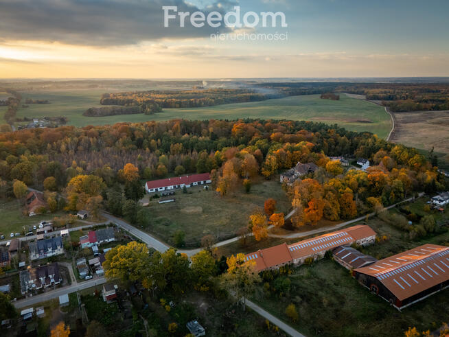 Działka 21,66 ha z zabudowaniami i Pałacem, Janusz