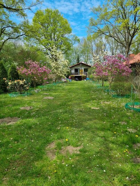 Klimatyczny domek przy Bugu na końcu świata