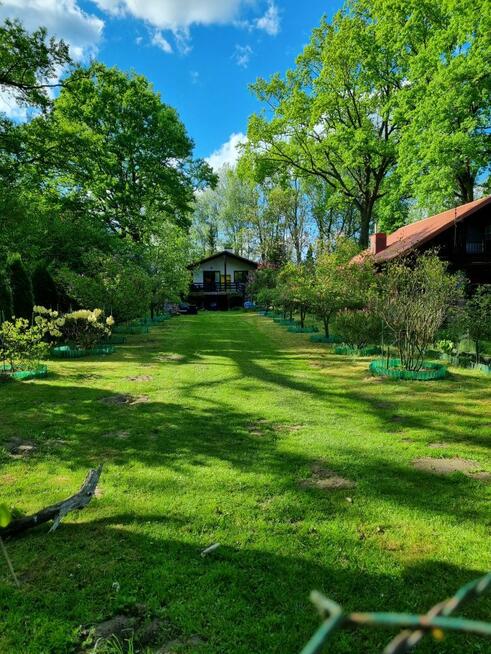 Klimatyczny domek przy Bugu na końcu świata