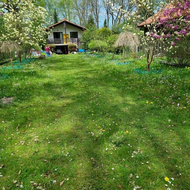 Klimatyczny domek przy Bugu na końcu świata