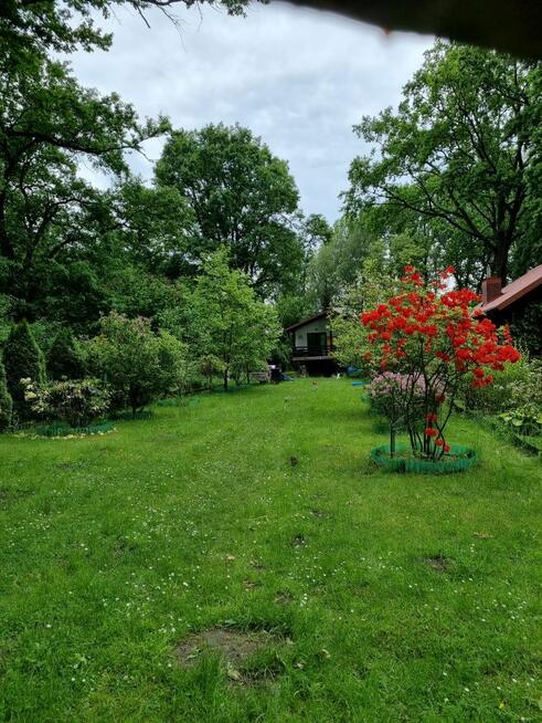 Klimatyczny domek przy Bugu na końcu świata