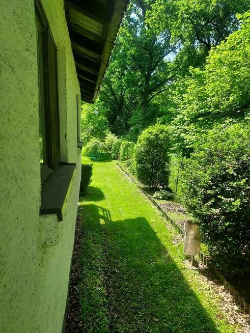 Klimatyczny domek przy Bugu na końcu świata