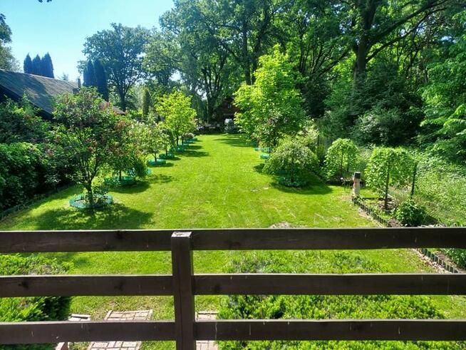 Klimatyczny domek przy Bugu na końcu świata