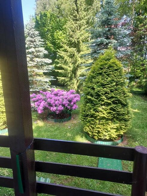 Klimatyczny domek przy Bugu na końcu świata