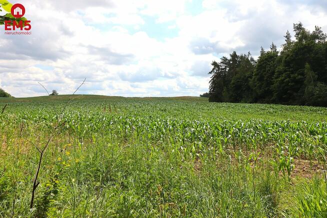 Działka budowlana Rożyńsk Wielki gm. Prostki