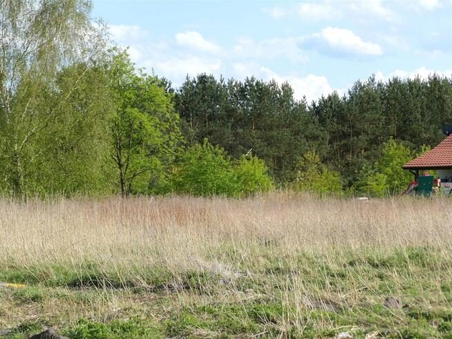 Szczecin Wielgowo Sławociesze działka sprzedaż