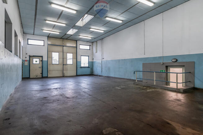 Usługi,produkcja,magazyny,biura,plac manewrowy,TIR