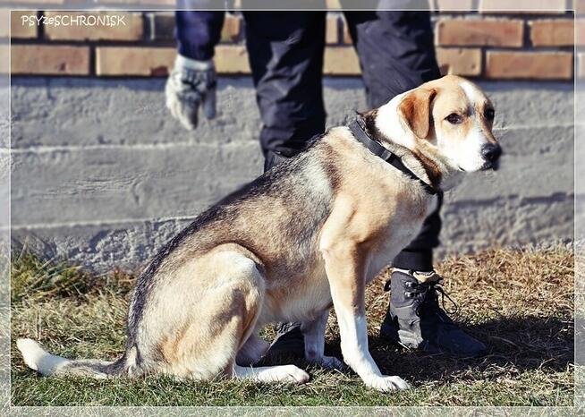 Olek - grzeczny przystojniak z wielkim sercem